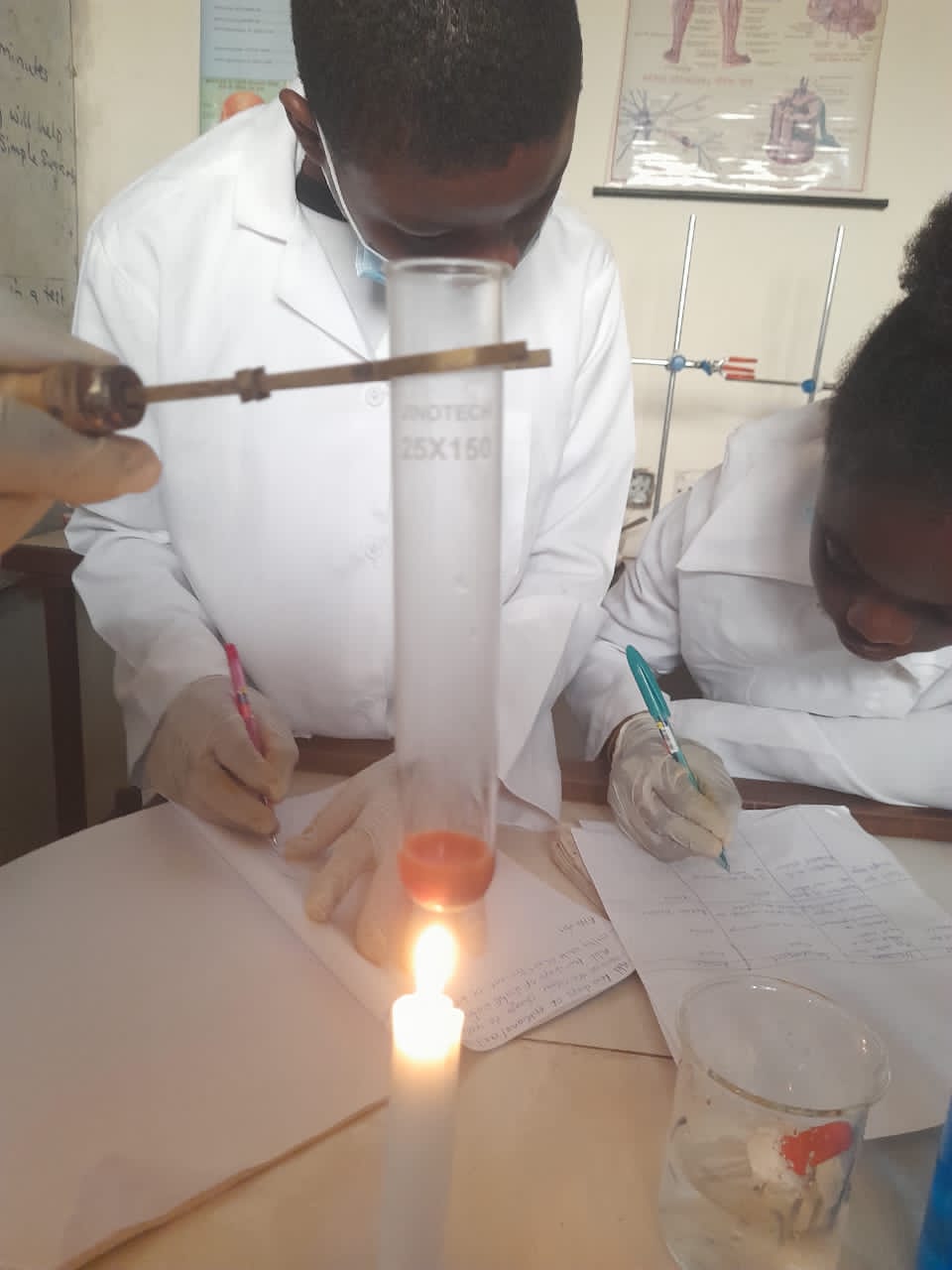Lab 2